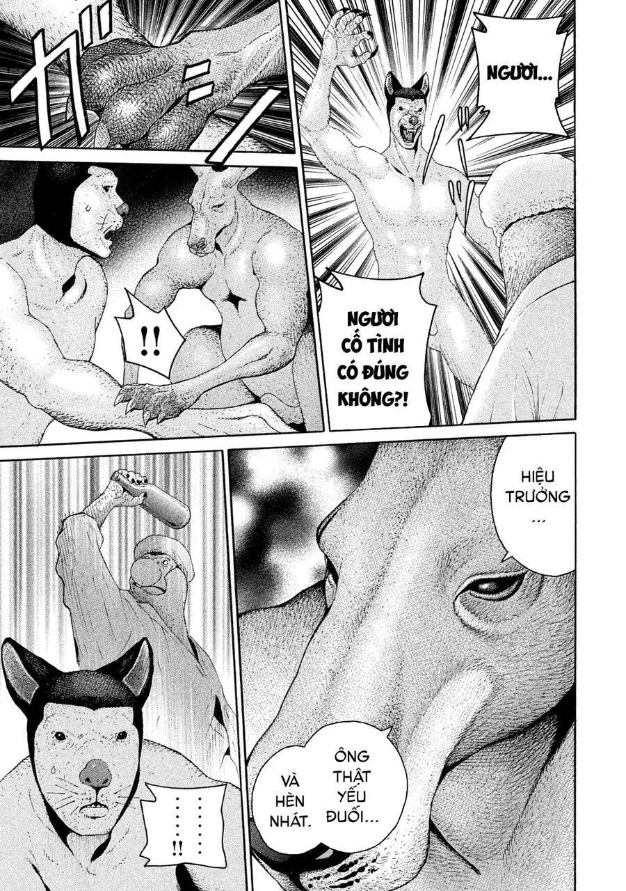 page_22.jpg