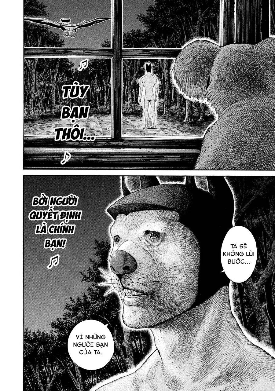 page_9.jpg