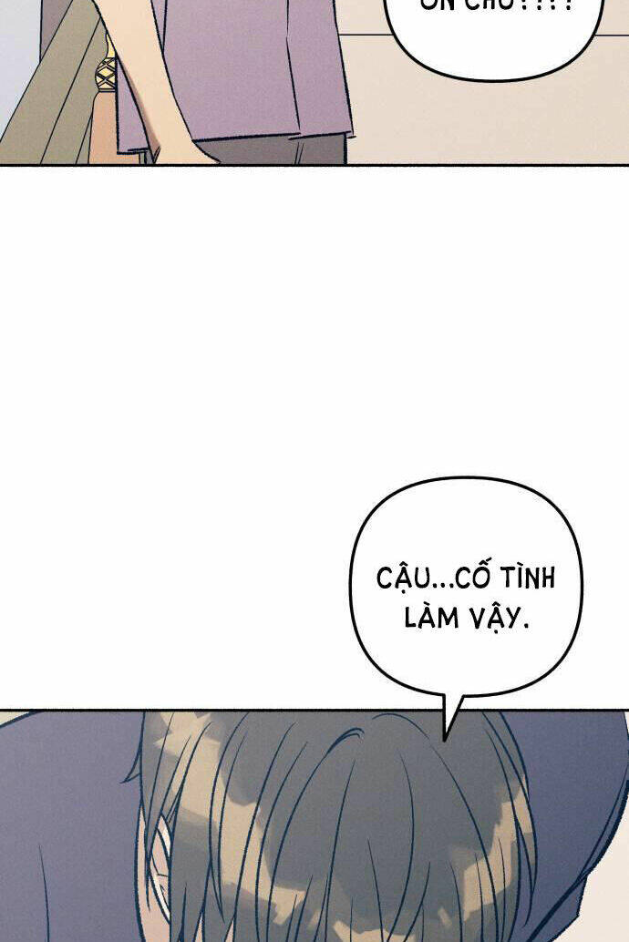 page_29.jpg