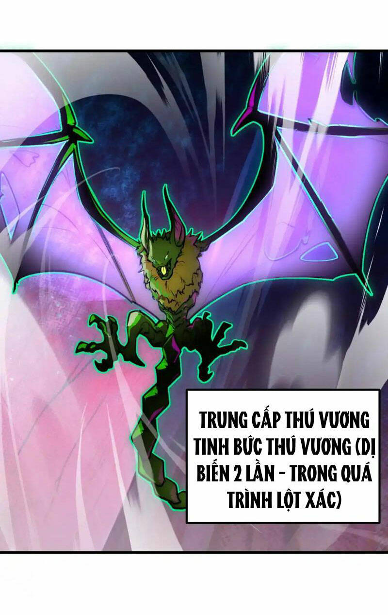 page_26.jpg