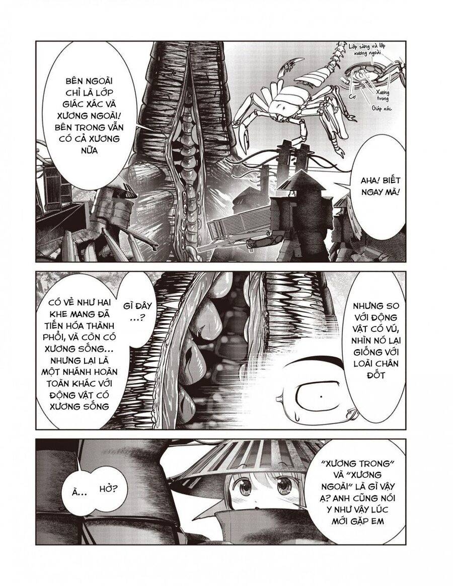 page_20.jpg