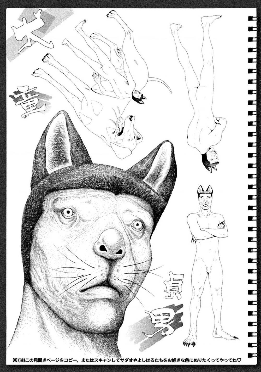 page_12.jpg