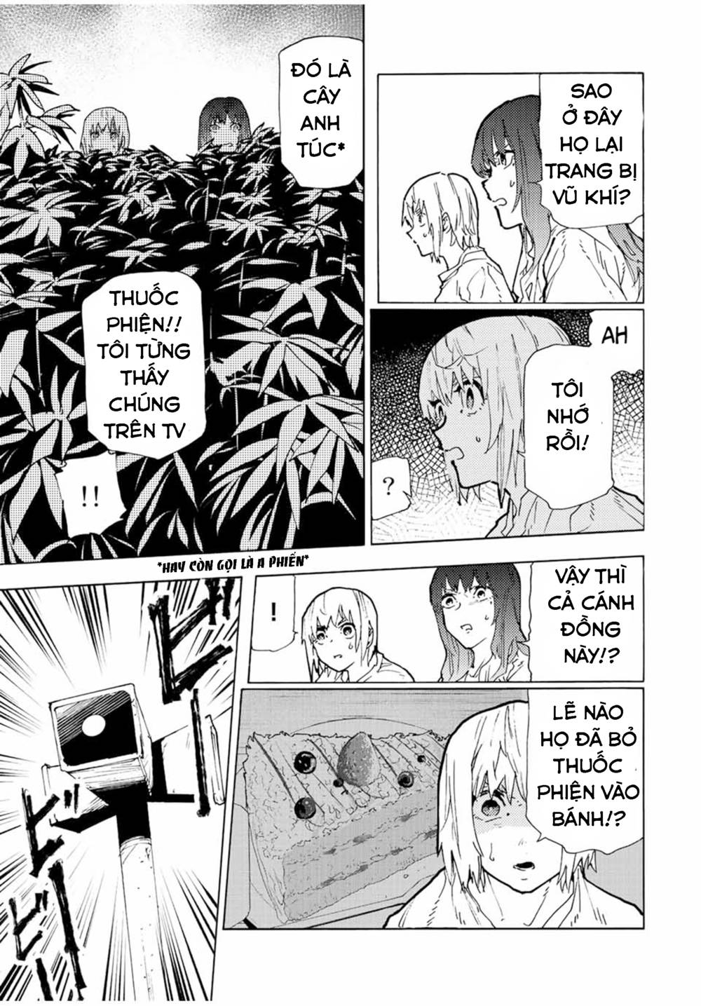 page_13.jpg