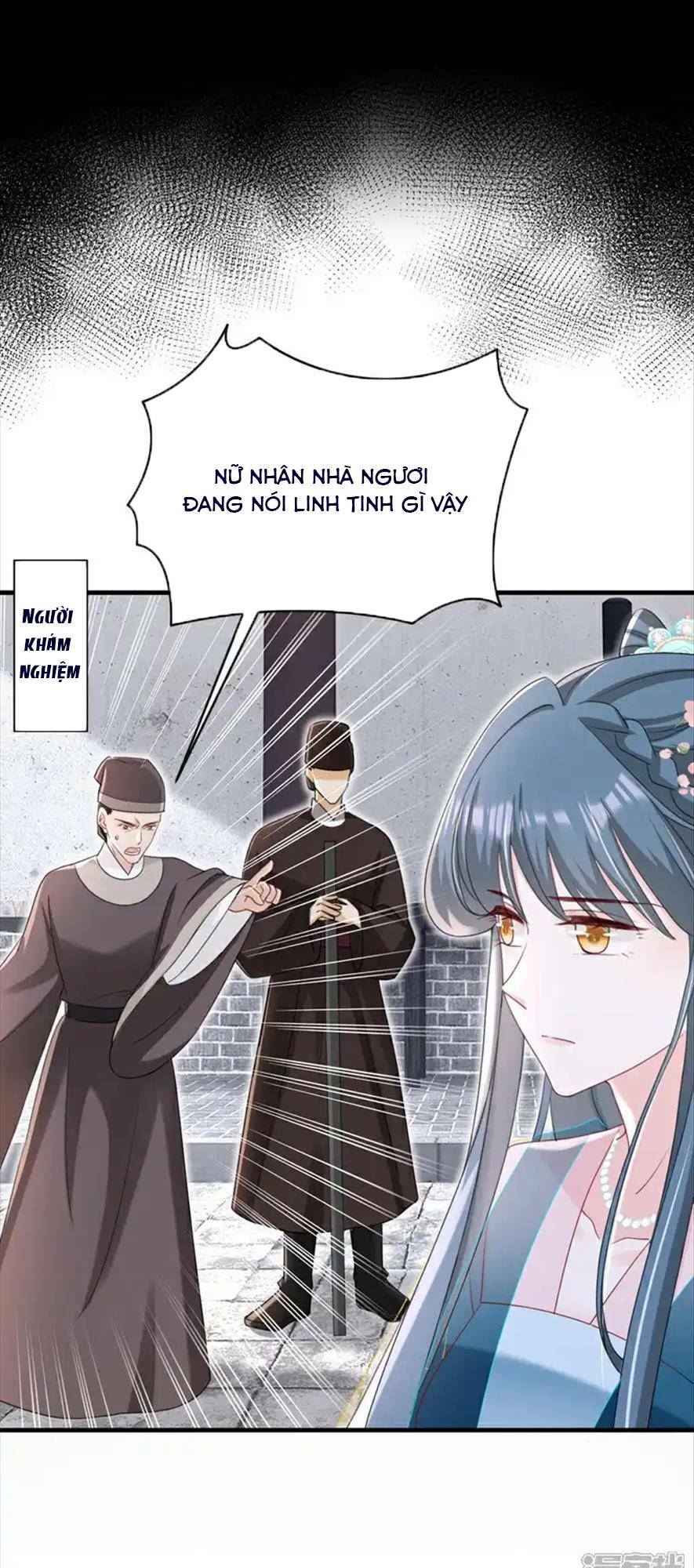 page_25.jpg