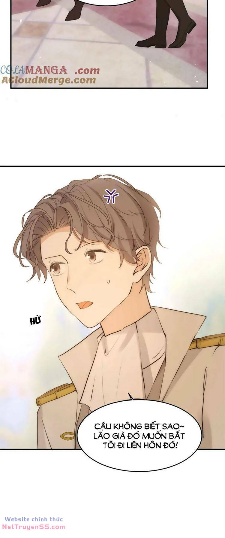 page_21.jpg