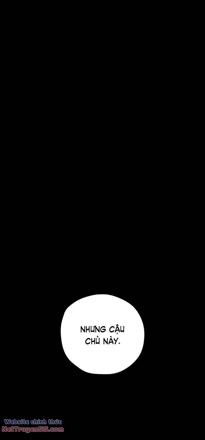page_26.jpg