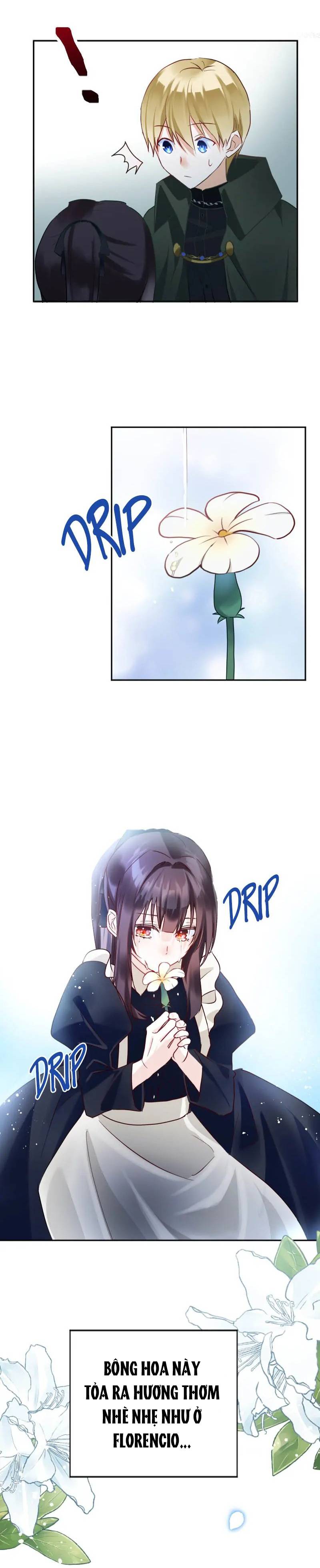 page_17.jpg