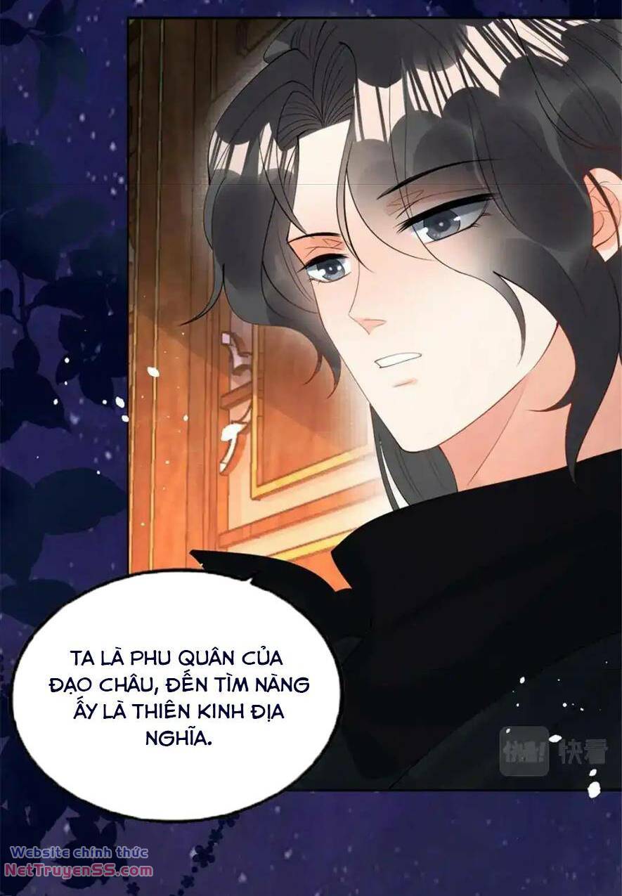 page_26.jpg