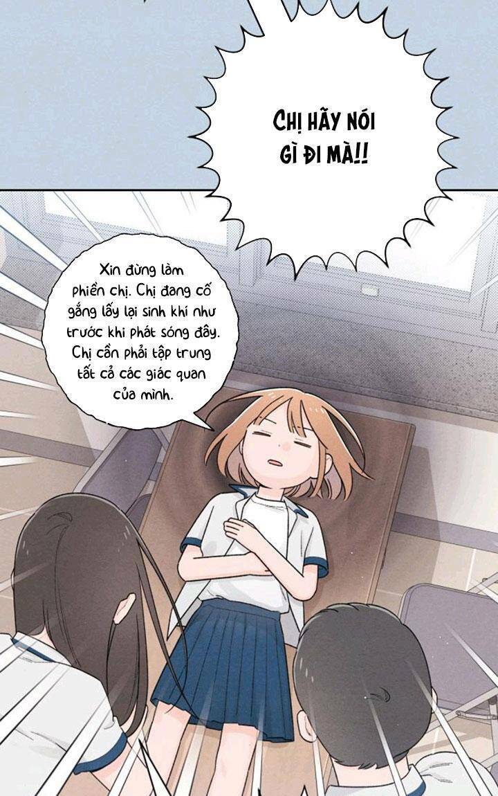 page_21.jpg