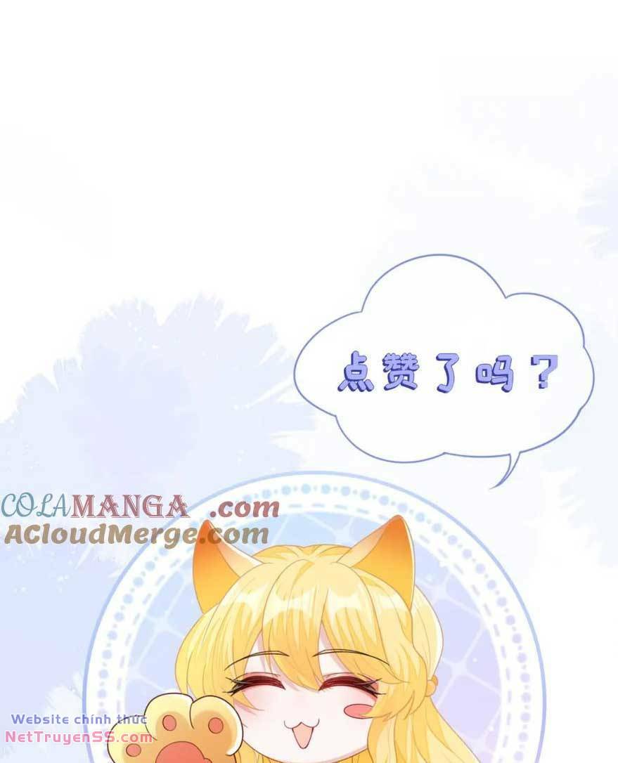 page_44.jpg