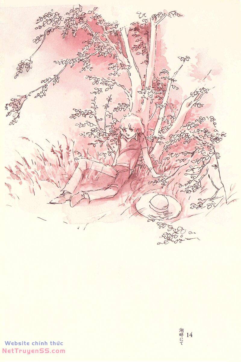 page_15.jpg