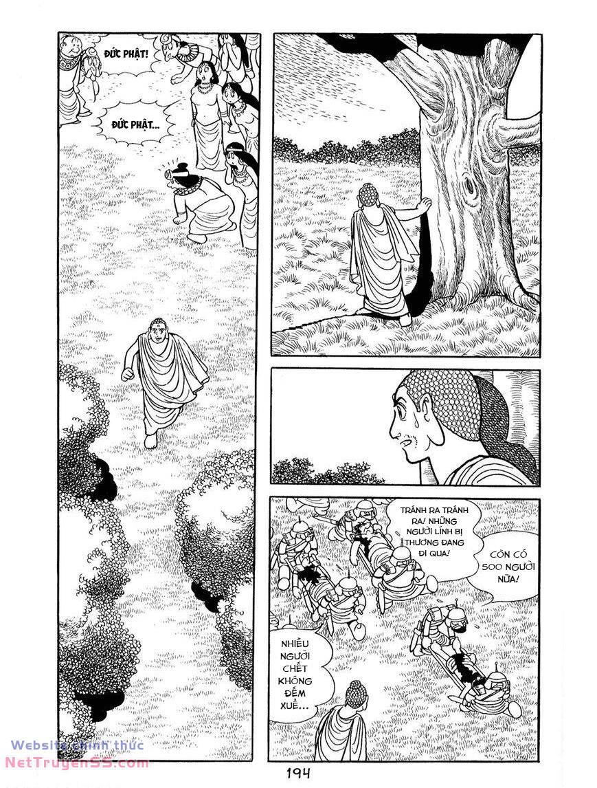page_22.jpg