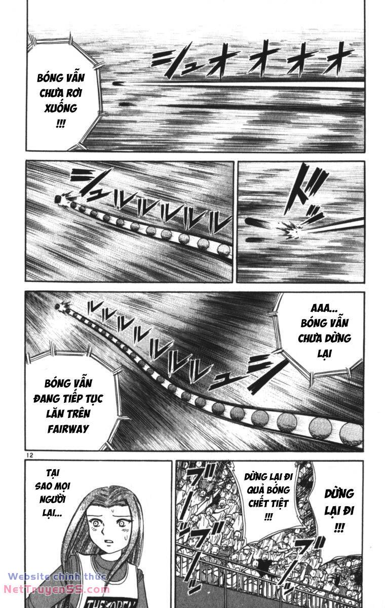 page_13.jpg