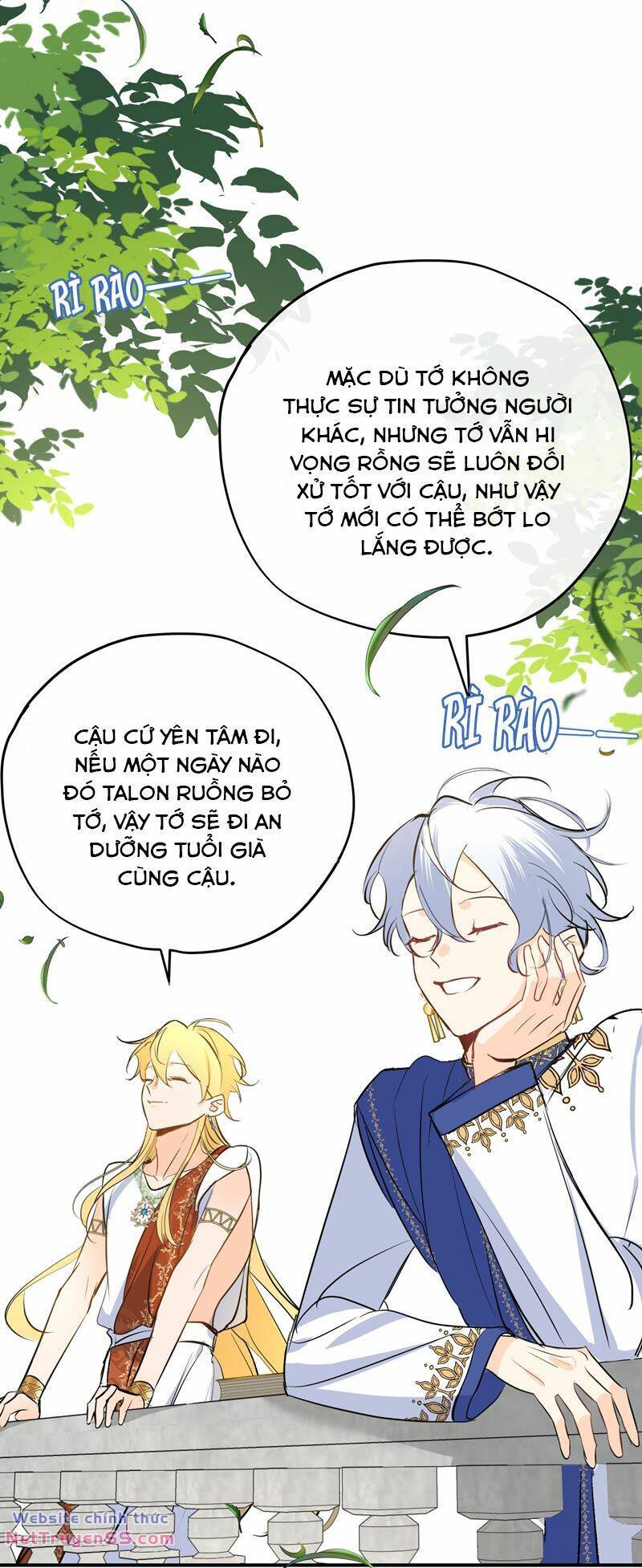 page_29.jpg