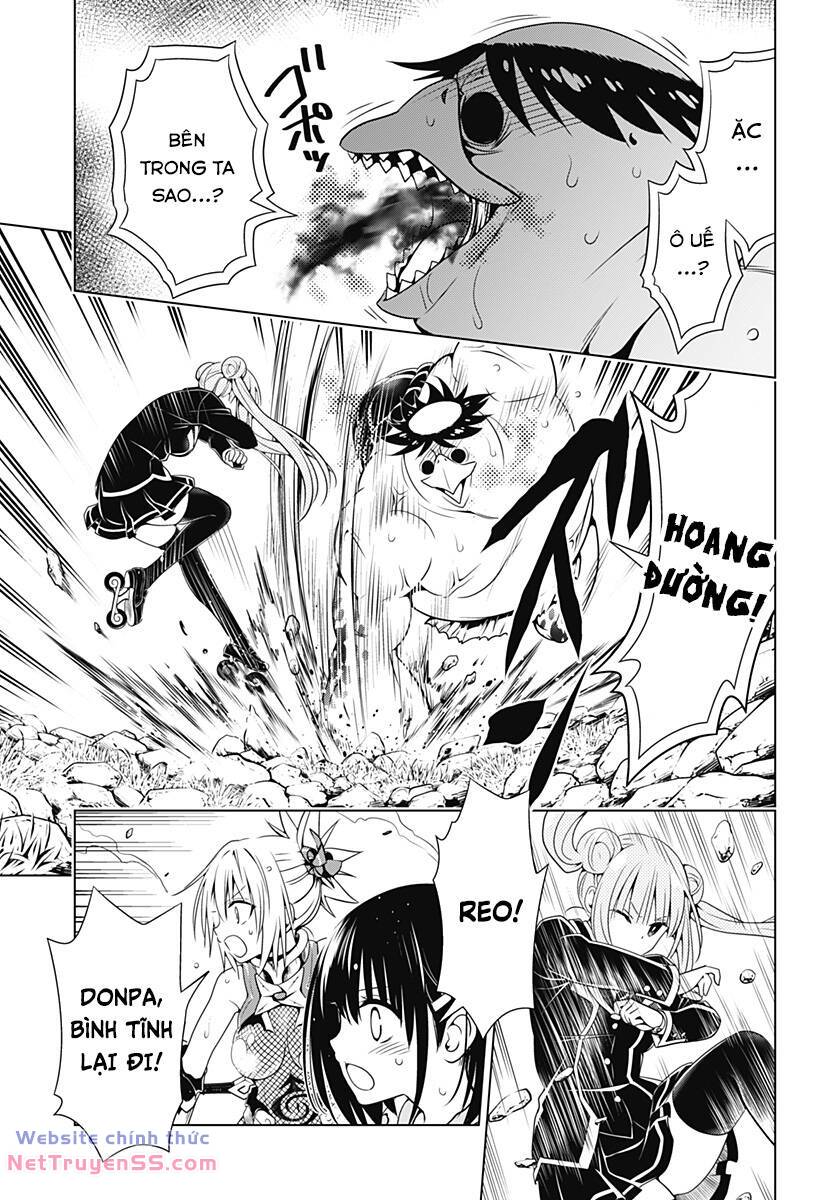 page_14.jpg