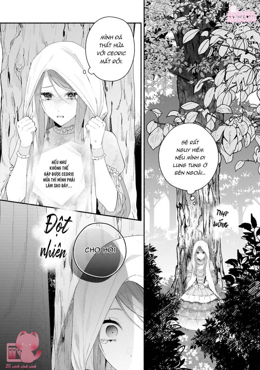page_16.jpg