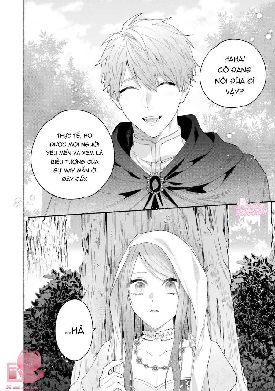 page_19.jpg
