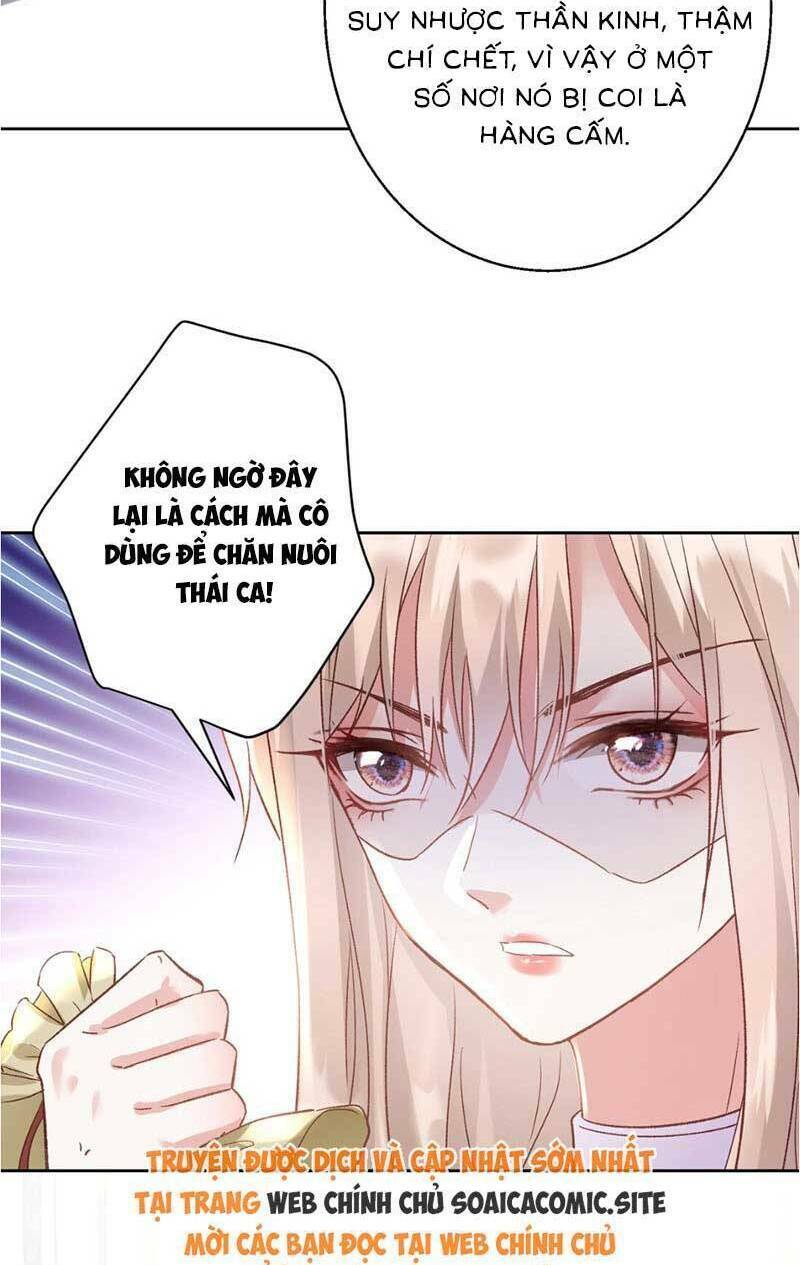 page_21.jpg