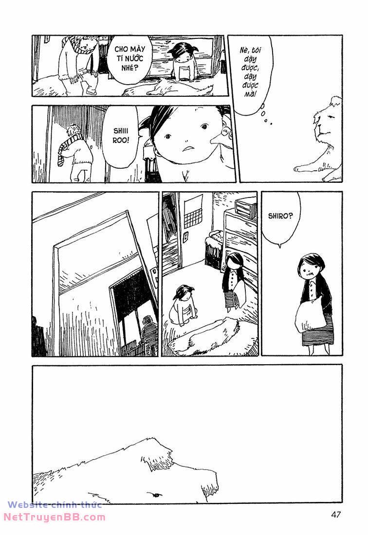 page_14.jpg