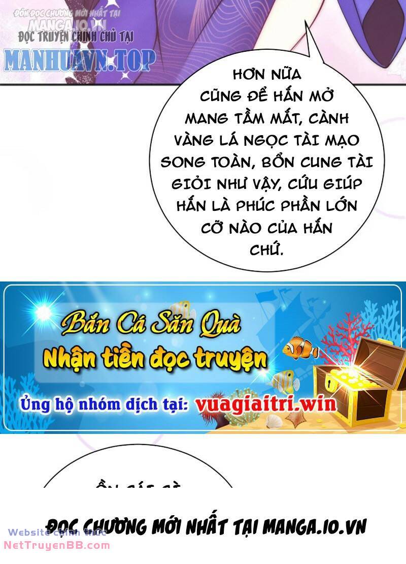 page_48.jpg