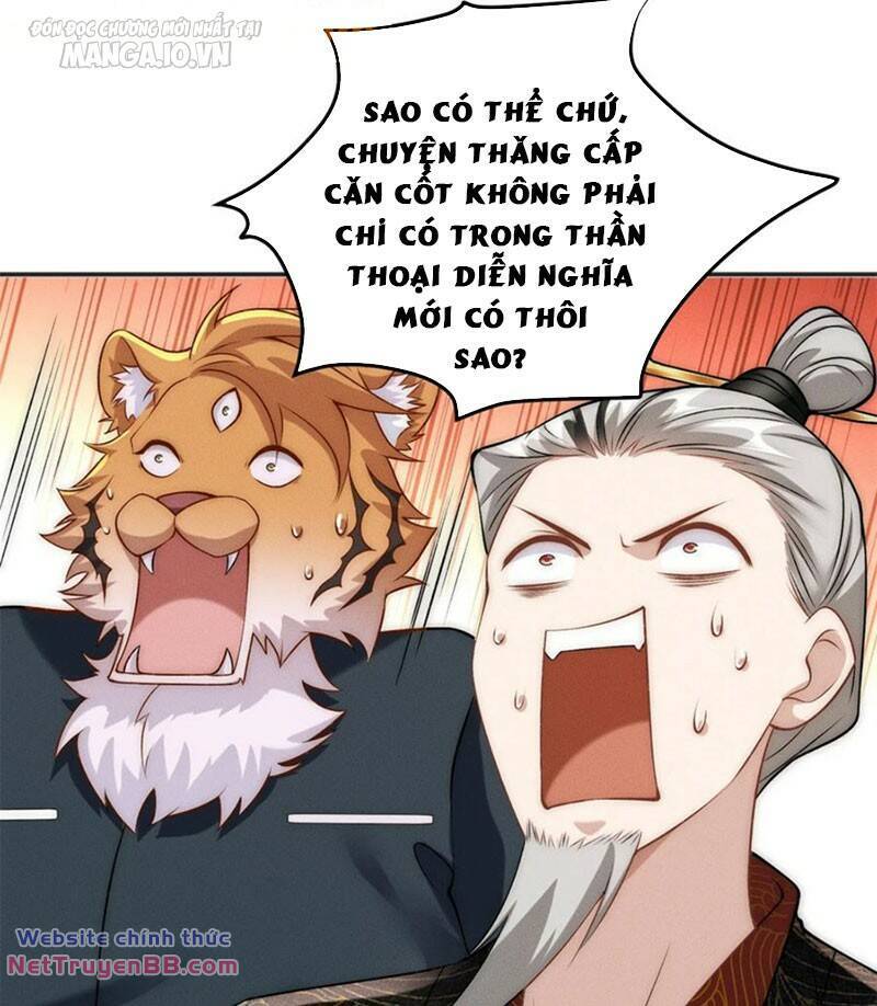 page_15.jpg