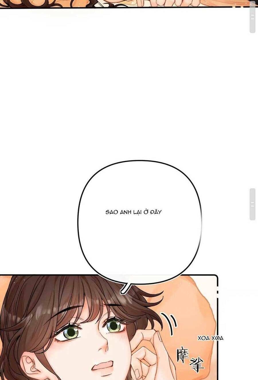 page_33.jpg