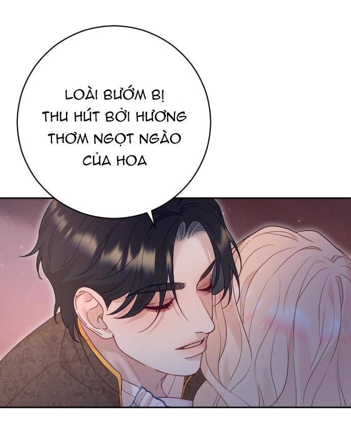 page_35.jpg