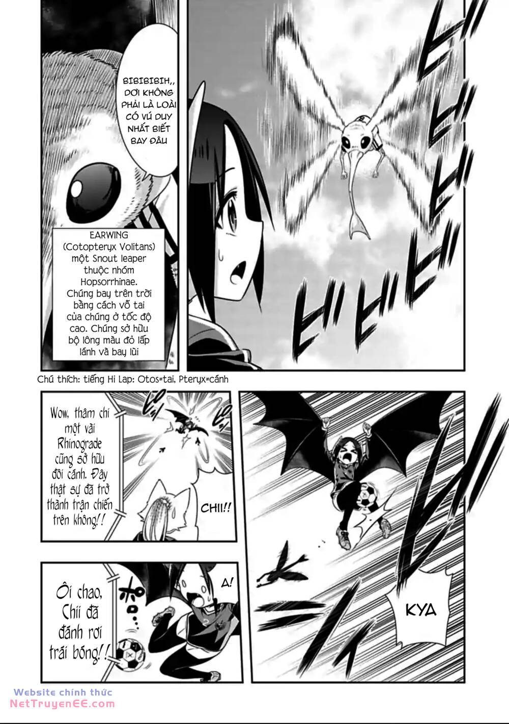 page_8.jpg