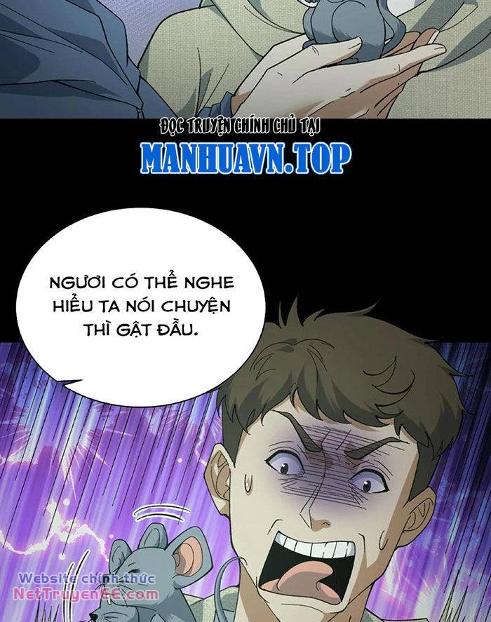 page_9.jpg