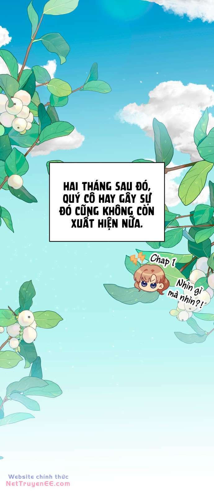 page_25.jpg
