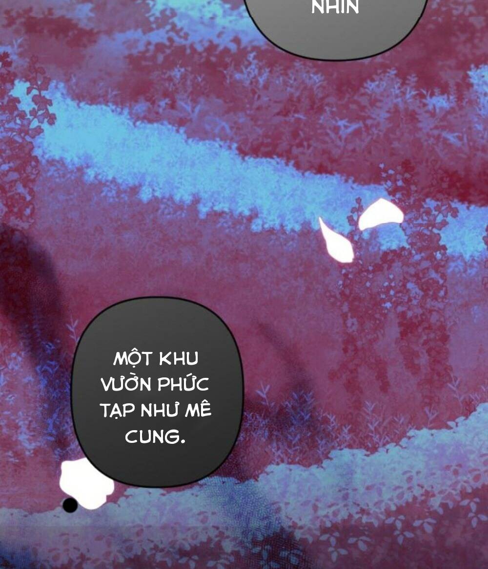 page_24.jpg