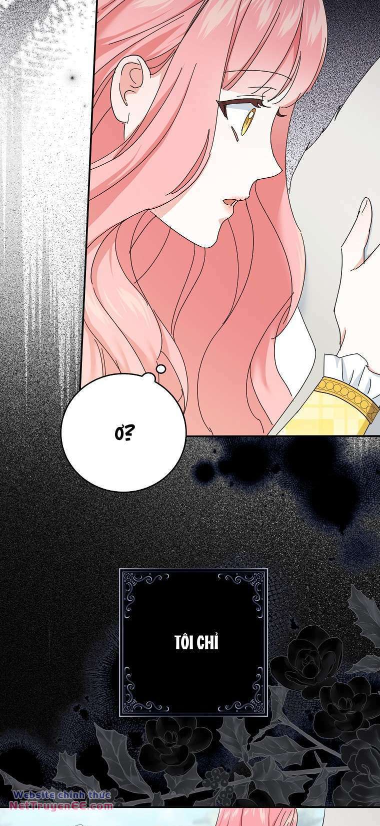page_19.jpg