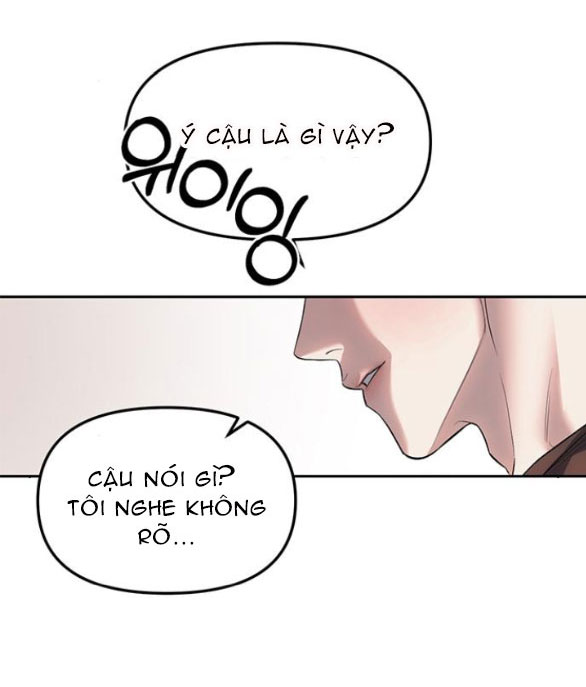 page_29.jpg