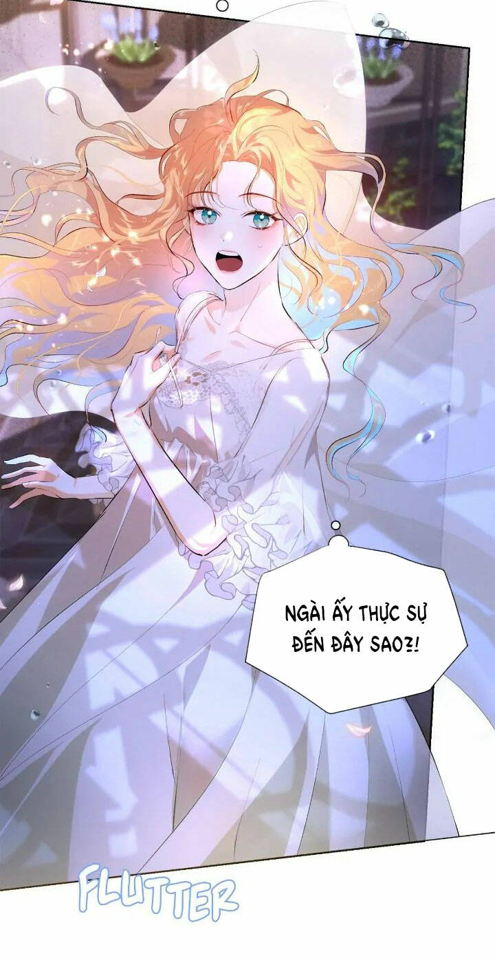 page_28.jpg