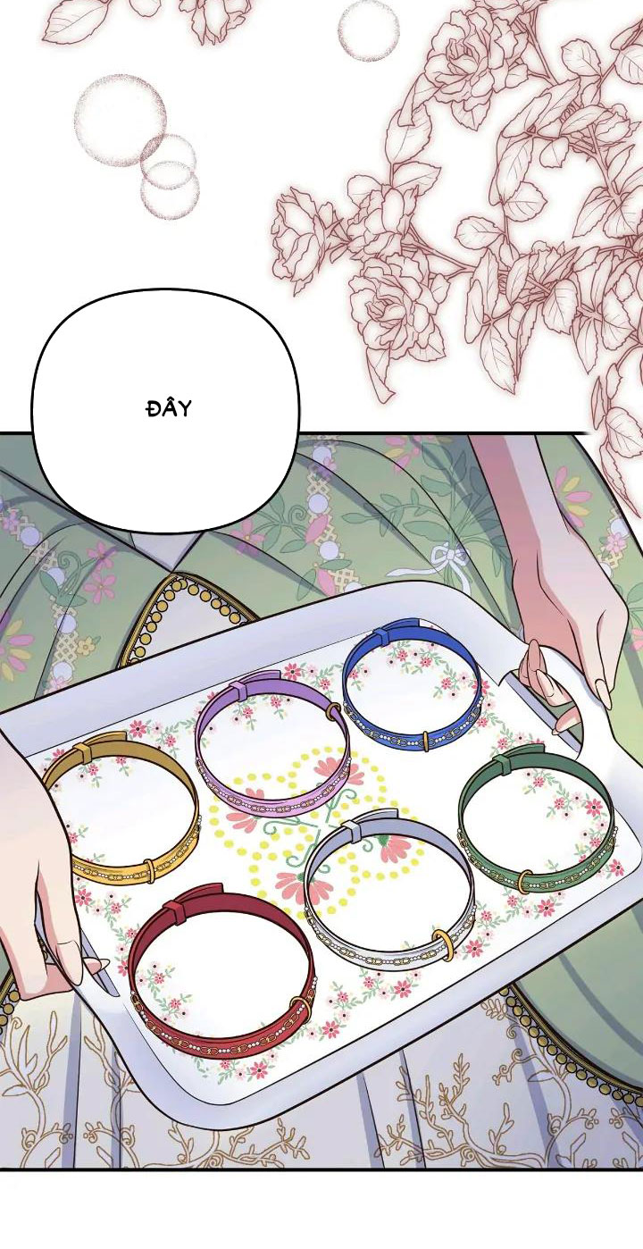 page_26.jpg