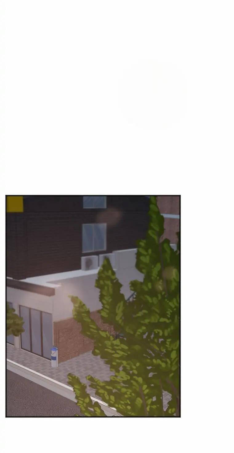 page_27.jpg
