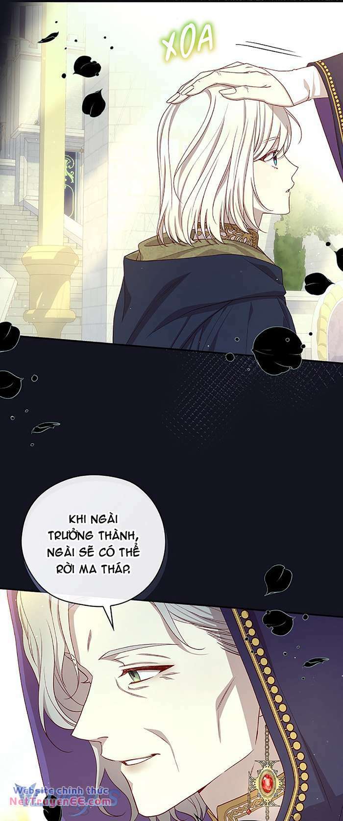 page_39.jpg