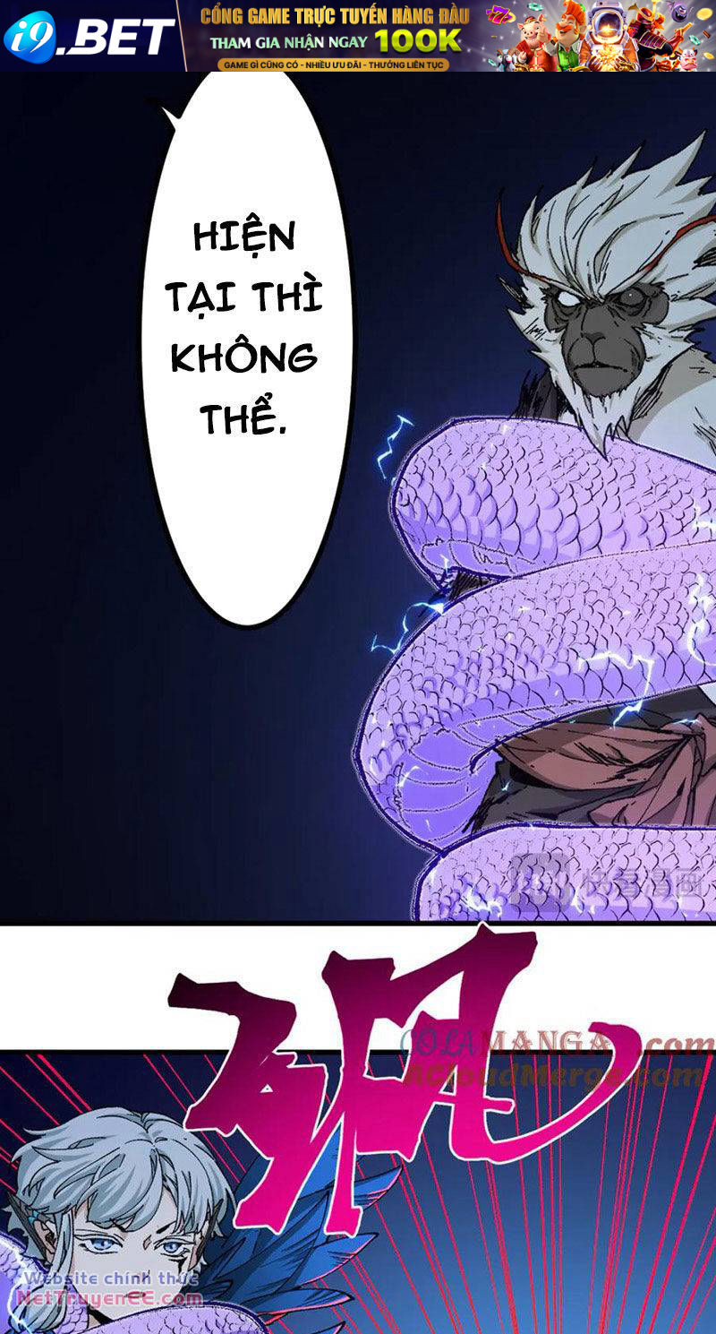 page_20.jpg