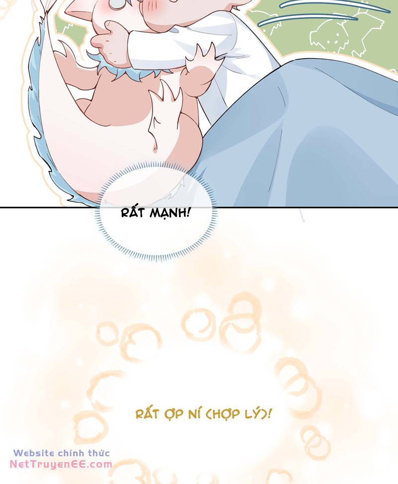 page_14.jpg