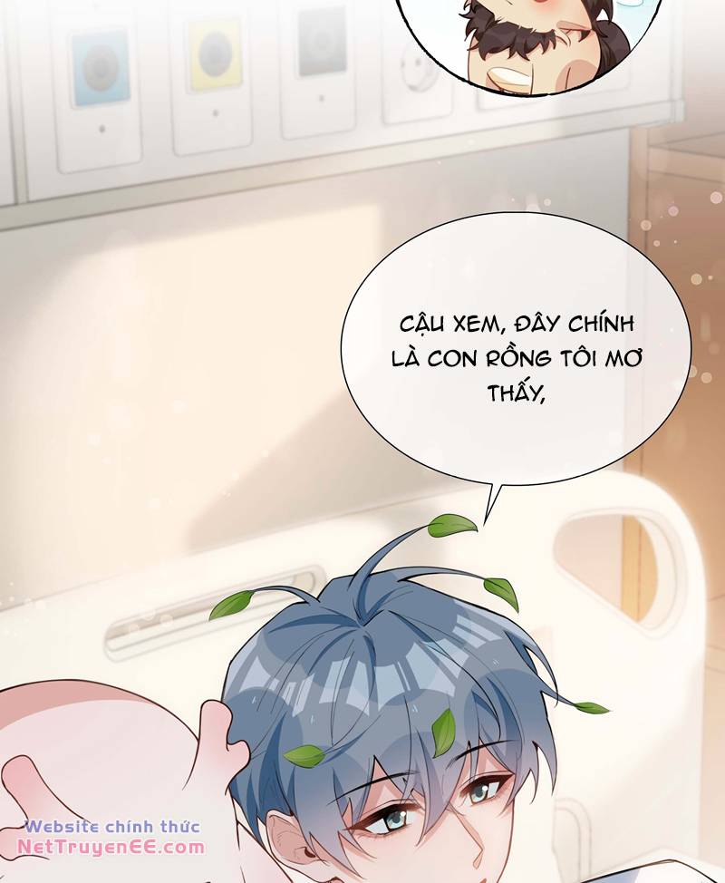 page_17.jpg