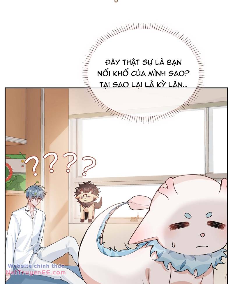 page_25.jpg