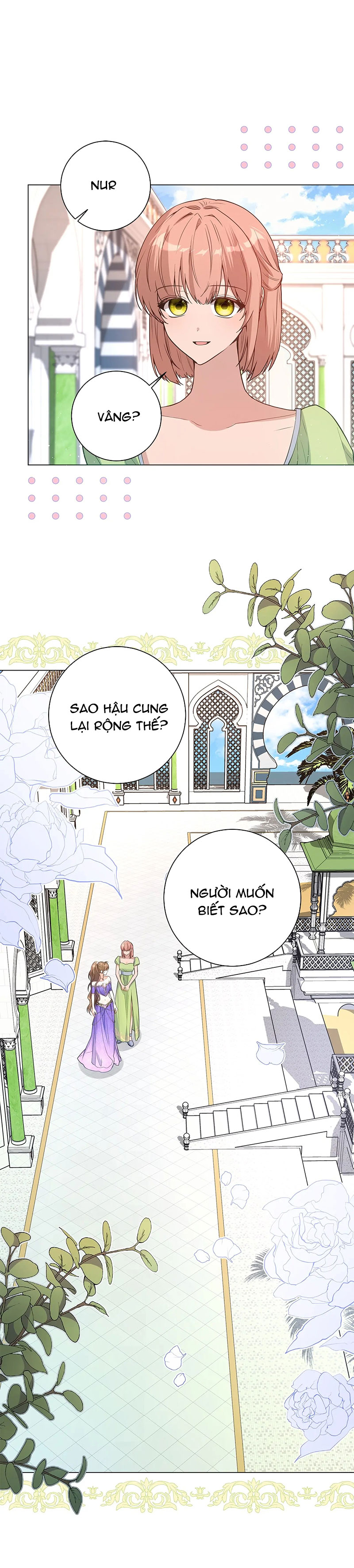 page_21.jpg