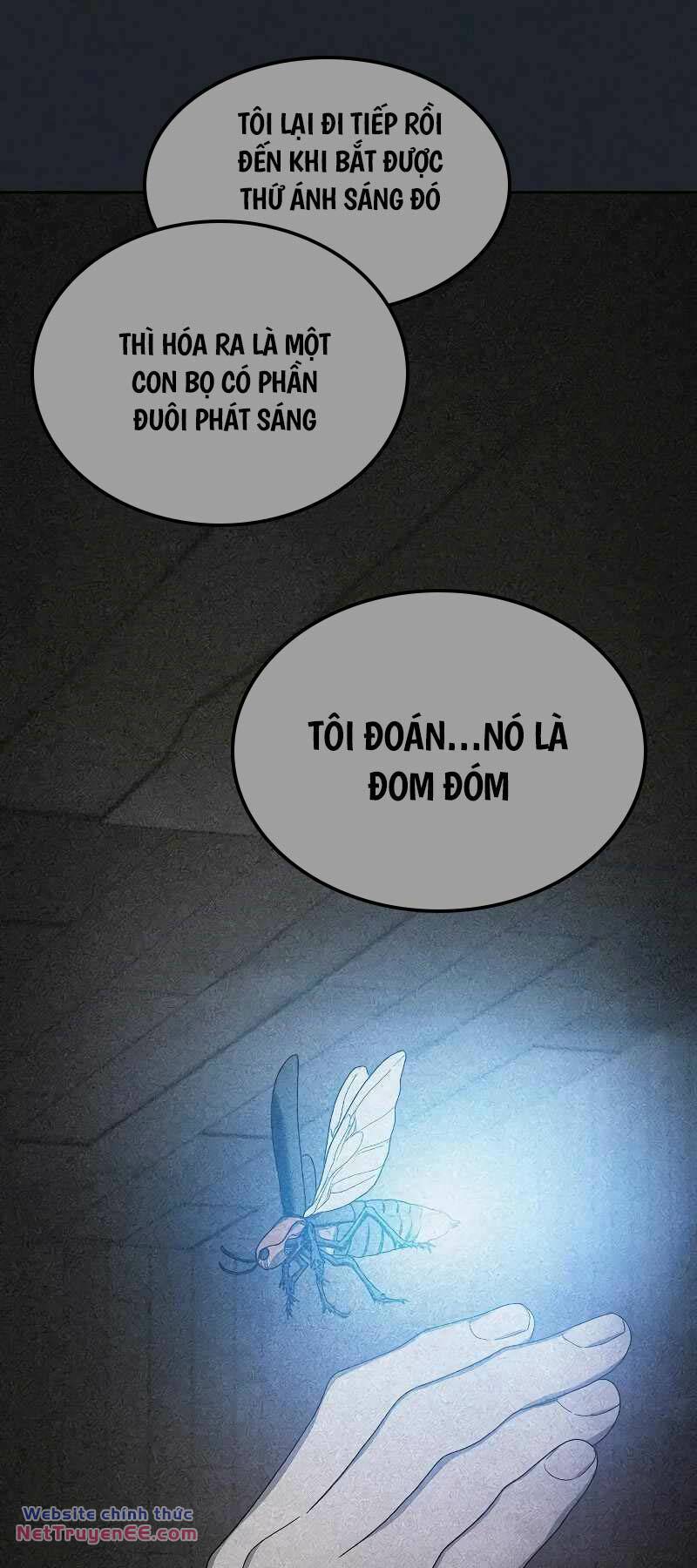 page_19.jpg