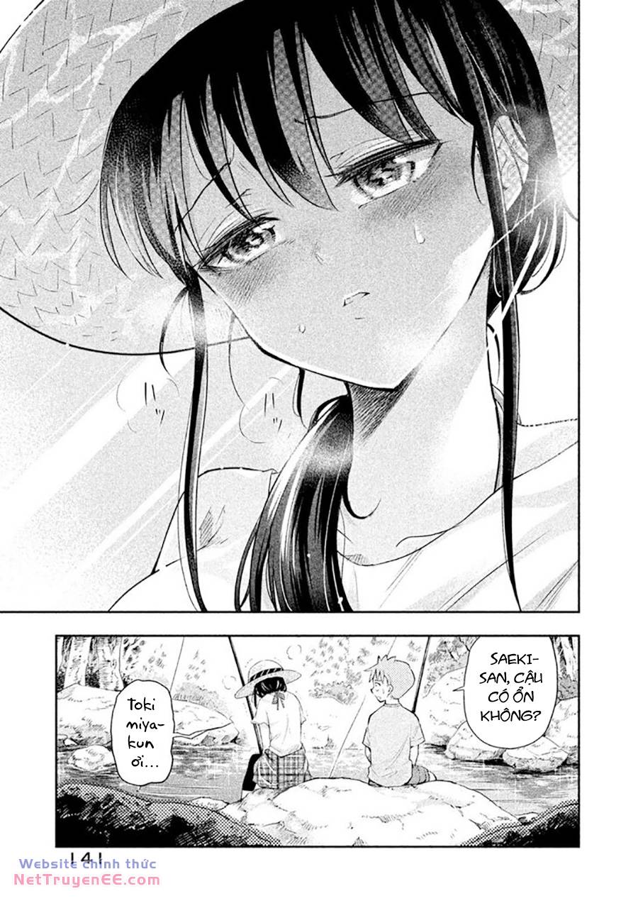 page_15.jpg