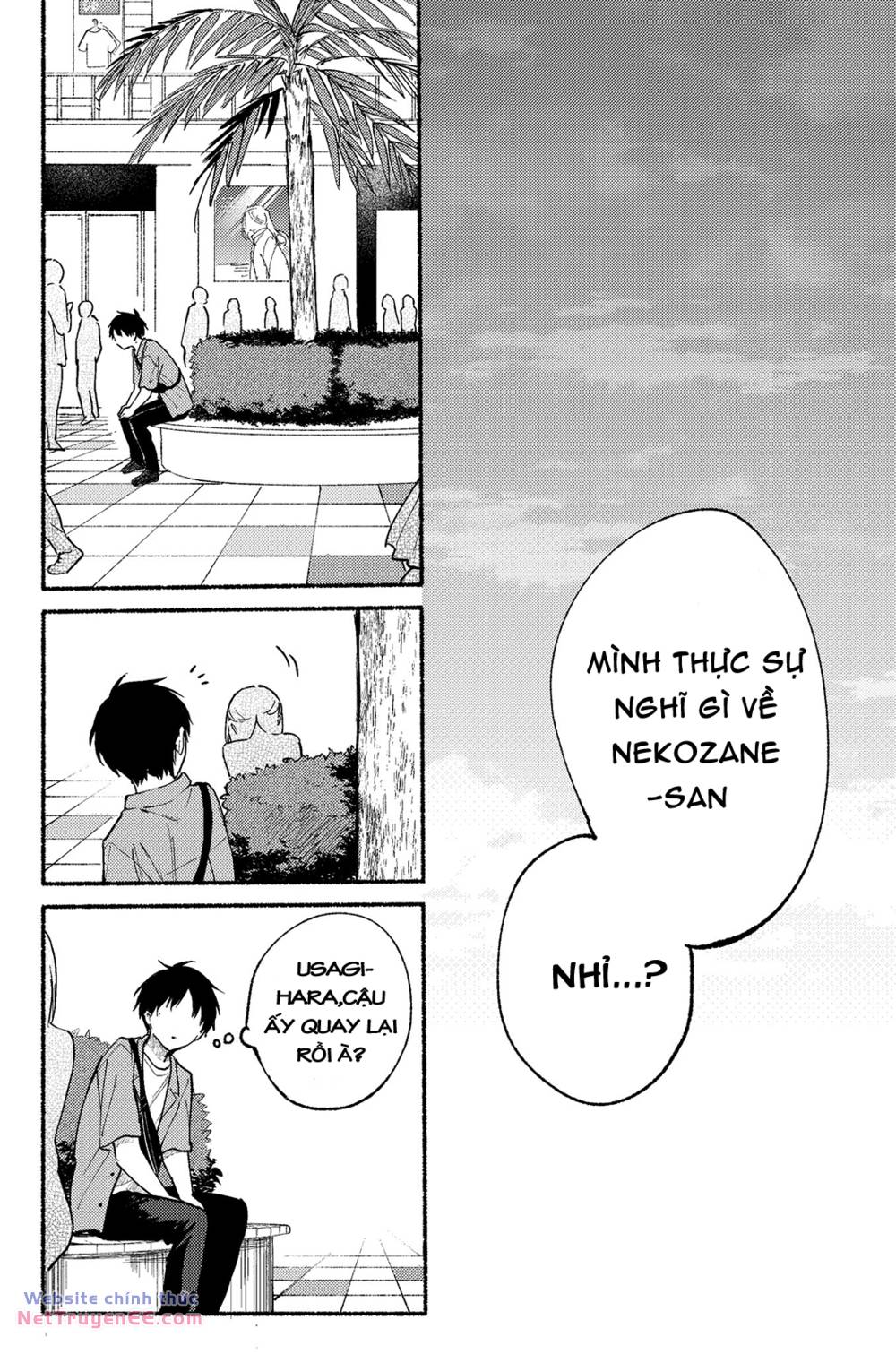 page_22.jpg