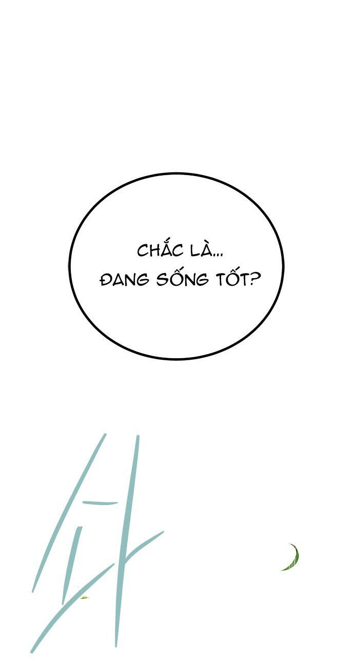 page_29.jpg