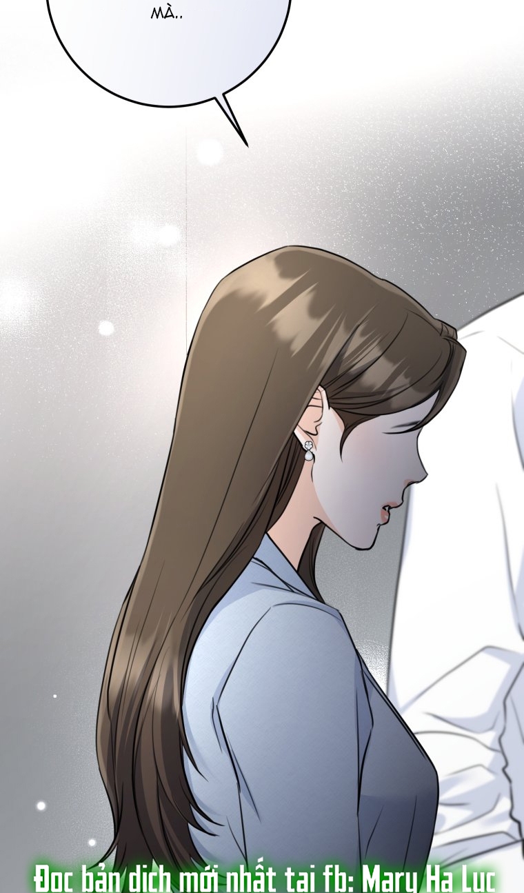 page_21.jpg
