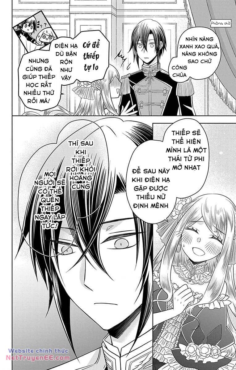 page_31.jpg