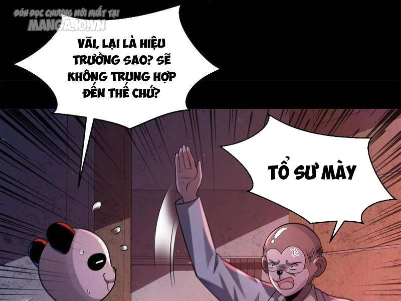 page_41.jpg