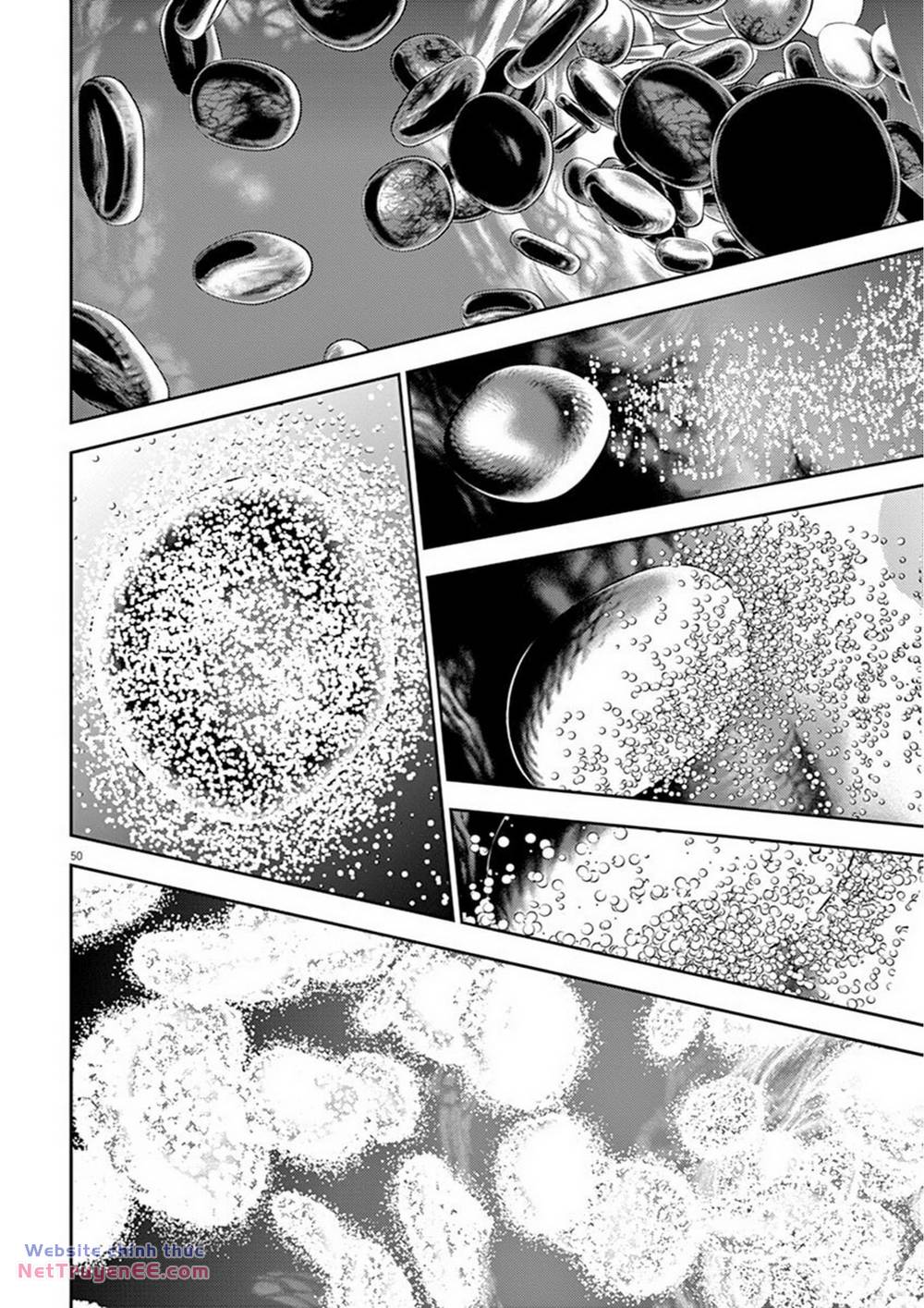 page_13.jpg